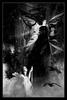 Goth