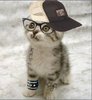 Emo Nazi Cat