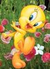 Tweety