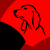 Year Of The Dog