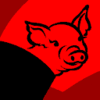 Year Of The Pig