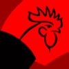Year Of The Rooster