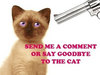 Send Me A Comment Or Say Goodbye To The Cat