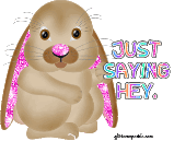 Just Saying Hey Rabbit Pink Ears