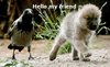Hello My Friend