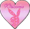 Welcome Playboy