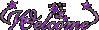 Welcome Glitter With Stars