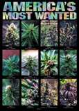 America's Most Wanted