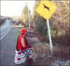 Deer crossing