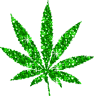 Weed