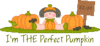 I'm The Perfect Pumpkin