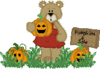 Pumpkins 4 Sale