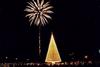 Happy New Year Fireworks