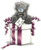 Just For You Teddy Bear With A Gift