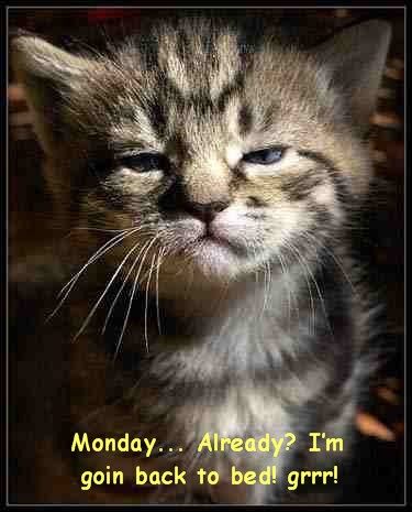 Monday Already