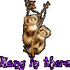 Hang In There