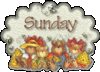 Sunday Teddy Bears