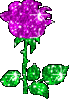 Magenta Flower