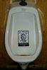 George W. Bush Pisser