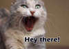 Hey There