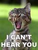 I Can't Hear You