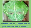 Lettuce Head
