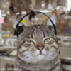 Music Kitty