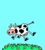 Cows