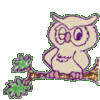 Owls