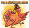 Pilgrim Turkey