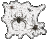 Glitter Spiders