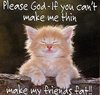 Make My Friends Fat