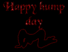 Happy Hump Day