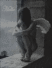 Hello Sexy Angel