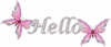 Hello, pink butterflies