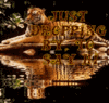 Just Dropping By To Say Hi , Animated Water, Tiger