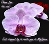Thanx For The Add