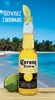Corona Extra Beer
