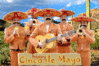 Conco De Mayo Sambreros