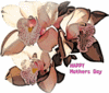 Happy Mothers Day
