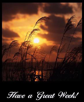 Have A Great Week