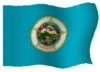 Minnesota State Flag