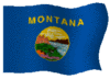 Montana State Flag