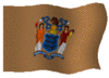 New Jersey State Flag