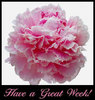 Have A Great Week