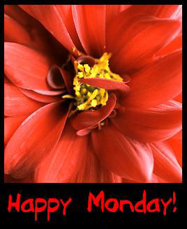 Happy Monday