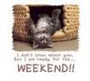 Ready For The Weekend