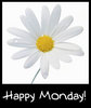 Happy Monday