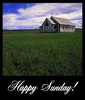 Happy Sunday