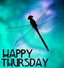 Happy Thursday